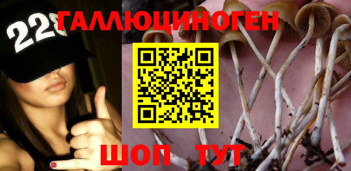 где купить наркоту  Галлюциногенные грибы Psilocybine cubensis  Вход с VPN  Галлюциногенные грибы MAGIC MUSHROOMS  Владикавказ 