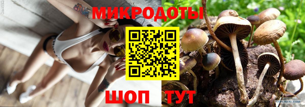 Галлюциногенные грибы прущие грибы Владикавказ